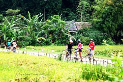 Cycling Tour full day in Hoi An