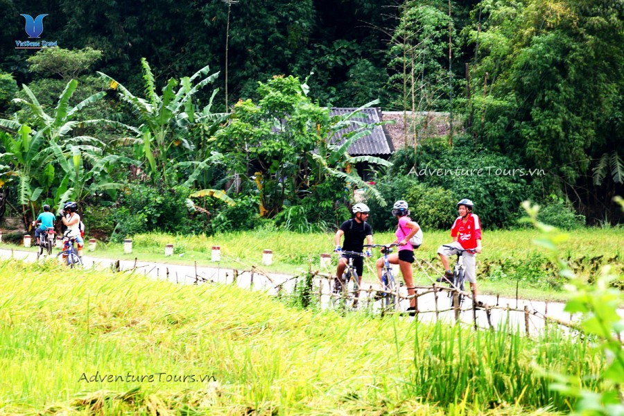 Cycling Tour full day in Hoi An